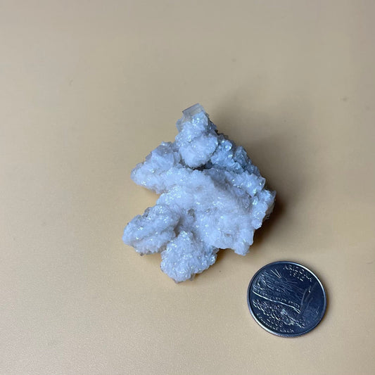 Fluorite on Calcite - Healing Stone Beings
