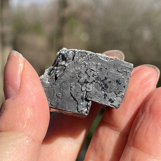 Galena - Healing Stone Beings