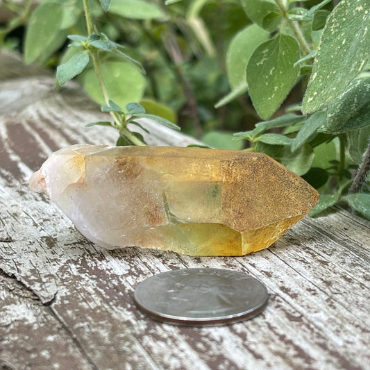 Golden Healer - Healing Stone Beings