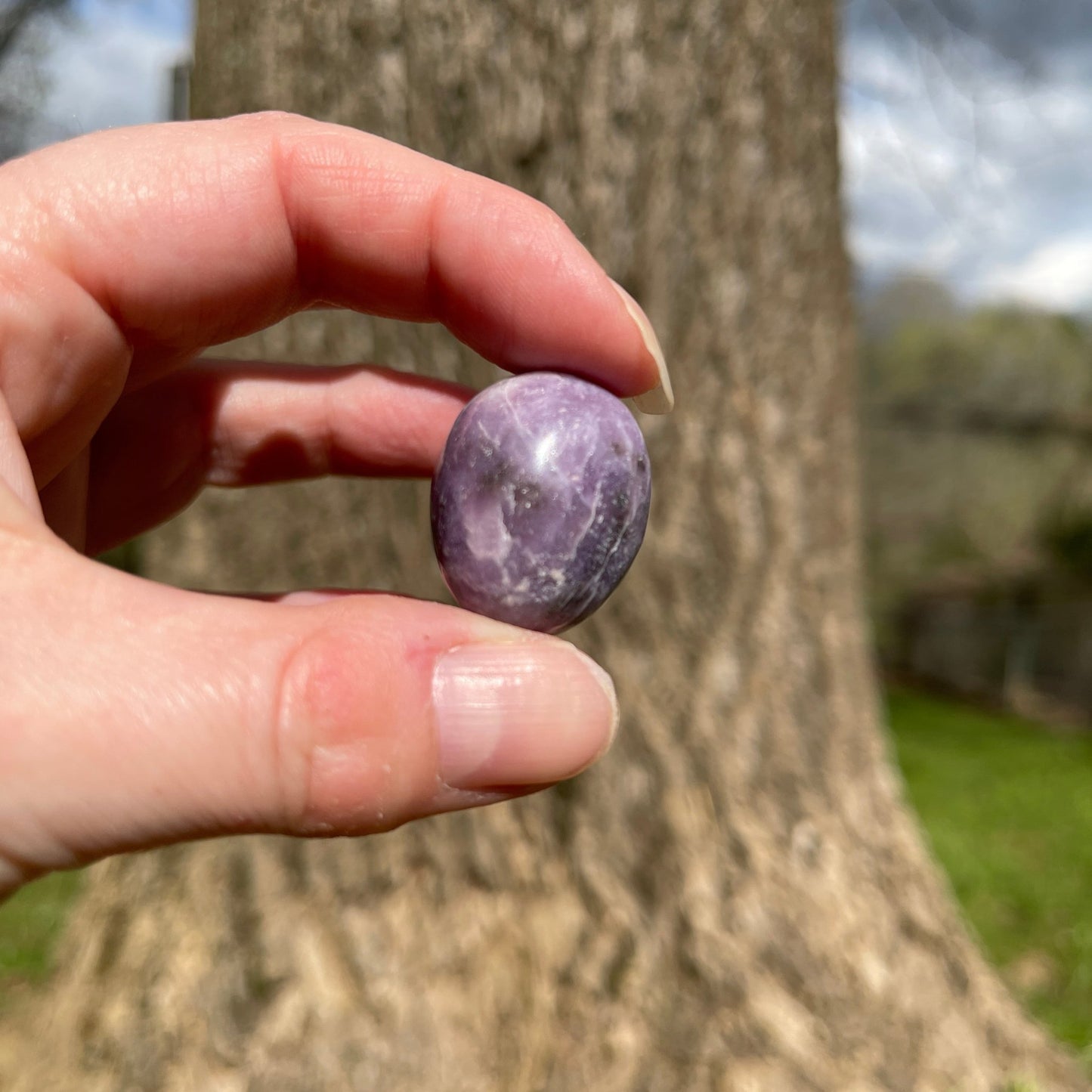 Lepidolite Tumble - Healing Stone Beings