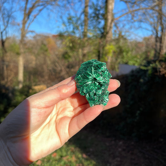 Malachite Free Form - Healing Stone Beings