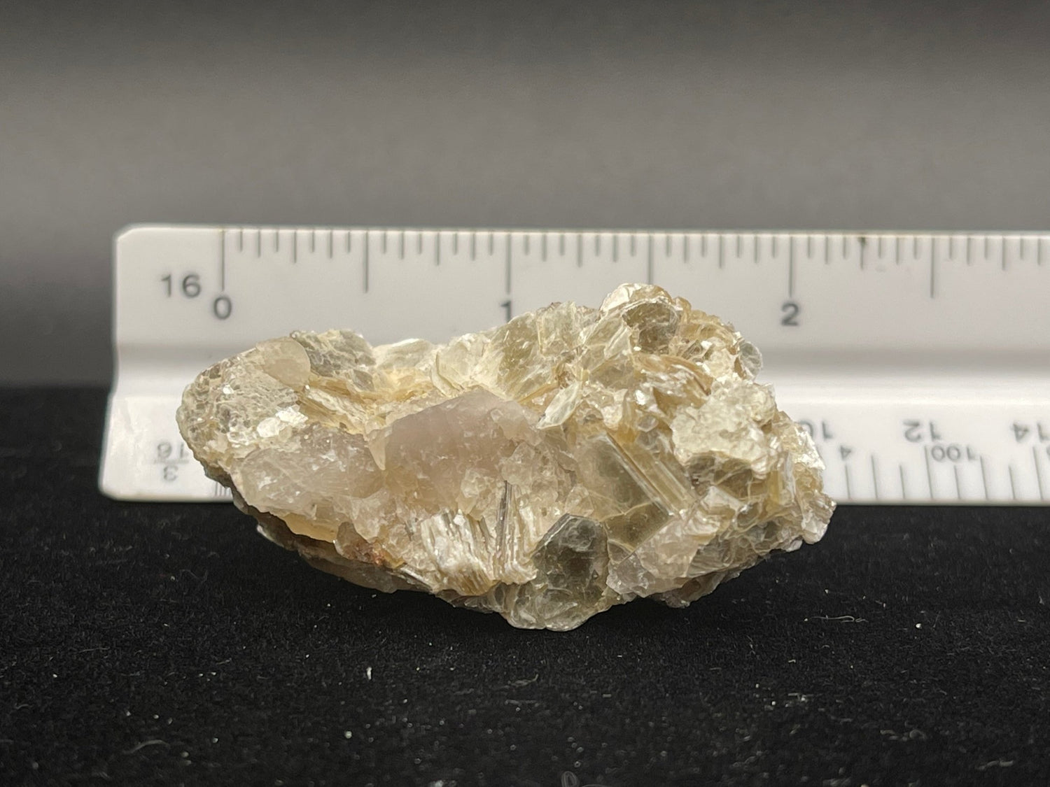 Natural Golden Lepidolite - Healing Stone Beings