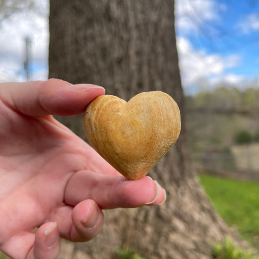 Palo Santo Heart - Healing Stone Beings