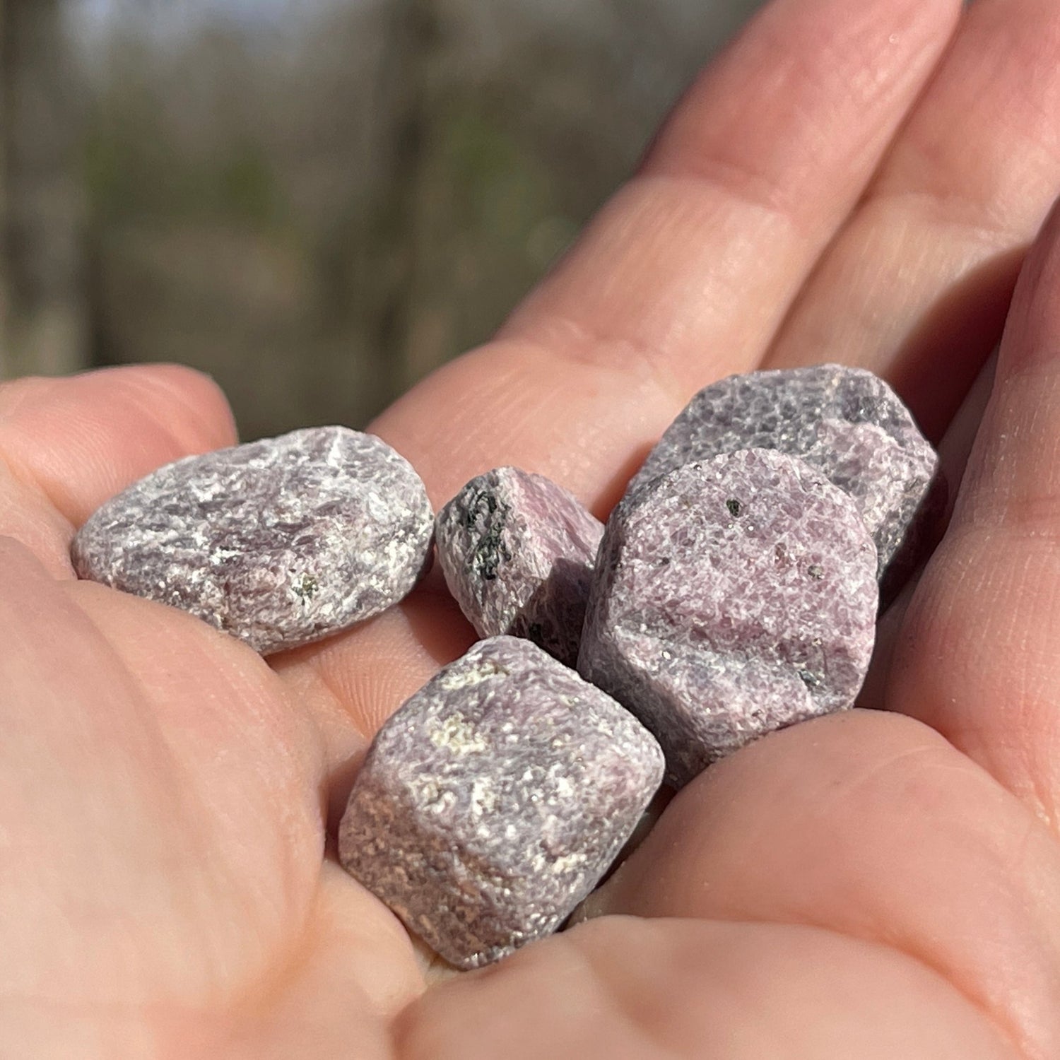 Raw Ruby Record Keeper (small) - Healing Stone Beings