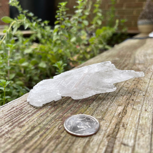 Selenite - Healing Stone Beings