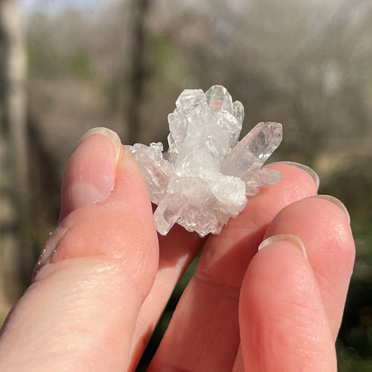 Tibetan Singing Quartz Cluster - Healing Stone Beings