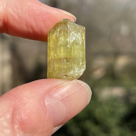 Yellow Apatite from Morocco - Healing Stone Beings
